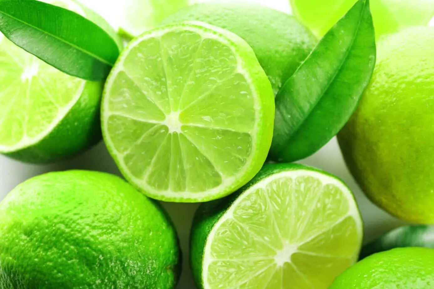 Lime kz. Лайм цитрус. Ограника лайм. Лайм фрукт Мохито. Зеленый фрукт.