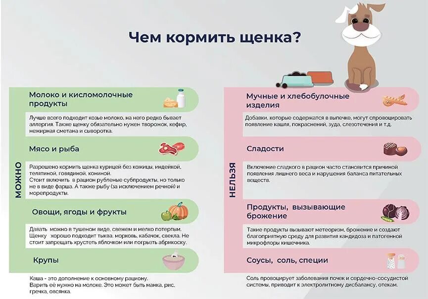 Чем кормить 1.5 щенка