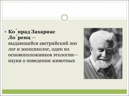 Отрывок из труда к лоренца посвящен