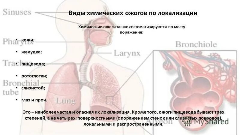 Химический ожог легких