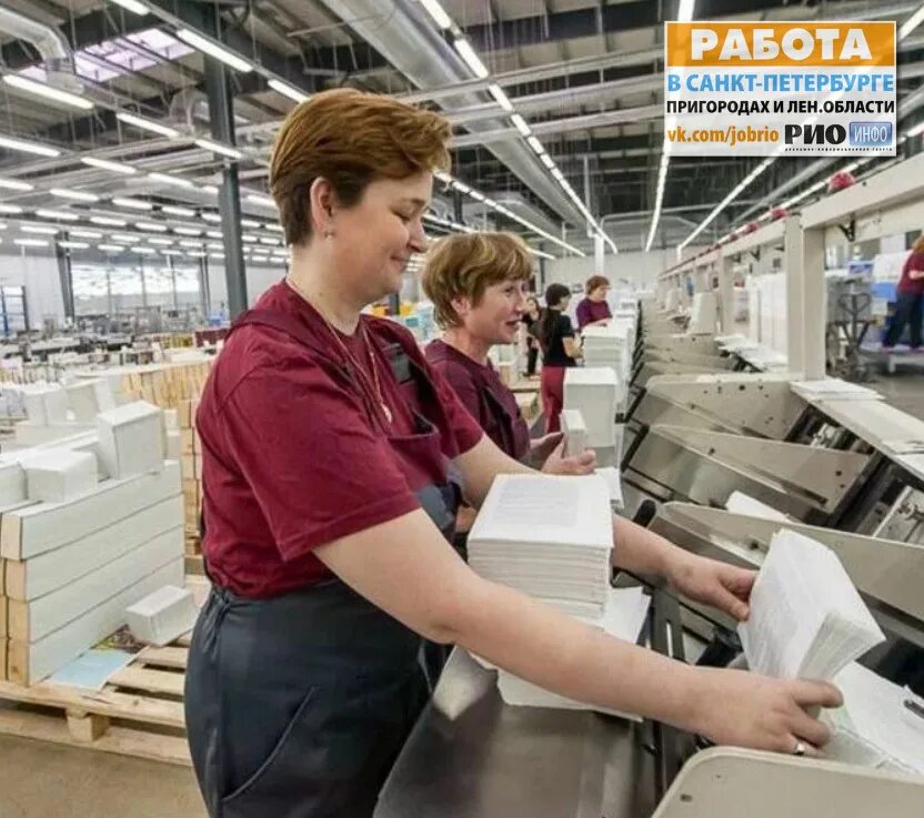 Работа в питере. Работа спб без опыта на производства. Упаковщик. Работа на заводе без опыта. Сборщик на заводе.