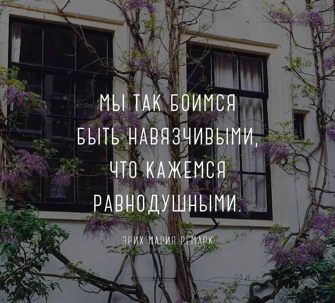 Мы так боимся быть навязчивыми что кажемся. Мы боимся быть навязчивыми. страх быть навязчивым. мы так боимся быть навязчивыми что кажемся равнодушными ремарк. боимся быть навязчивыми что кажемся равнодушными.