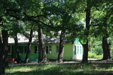 Лагерь дубрава саратовская область