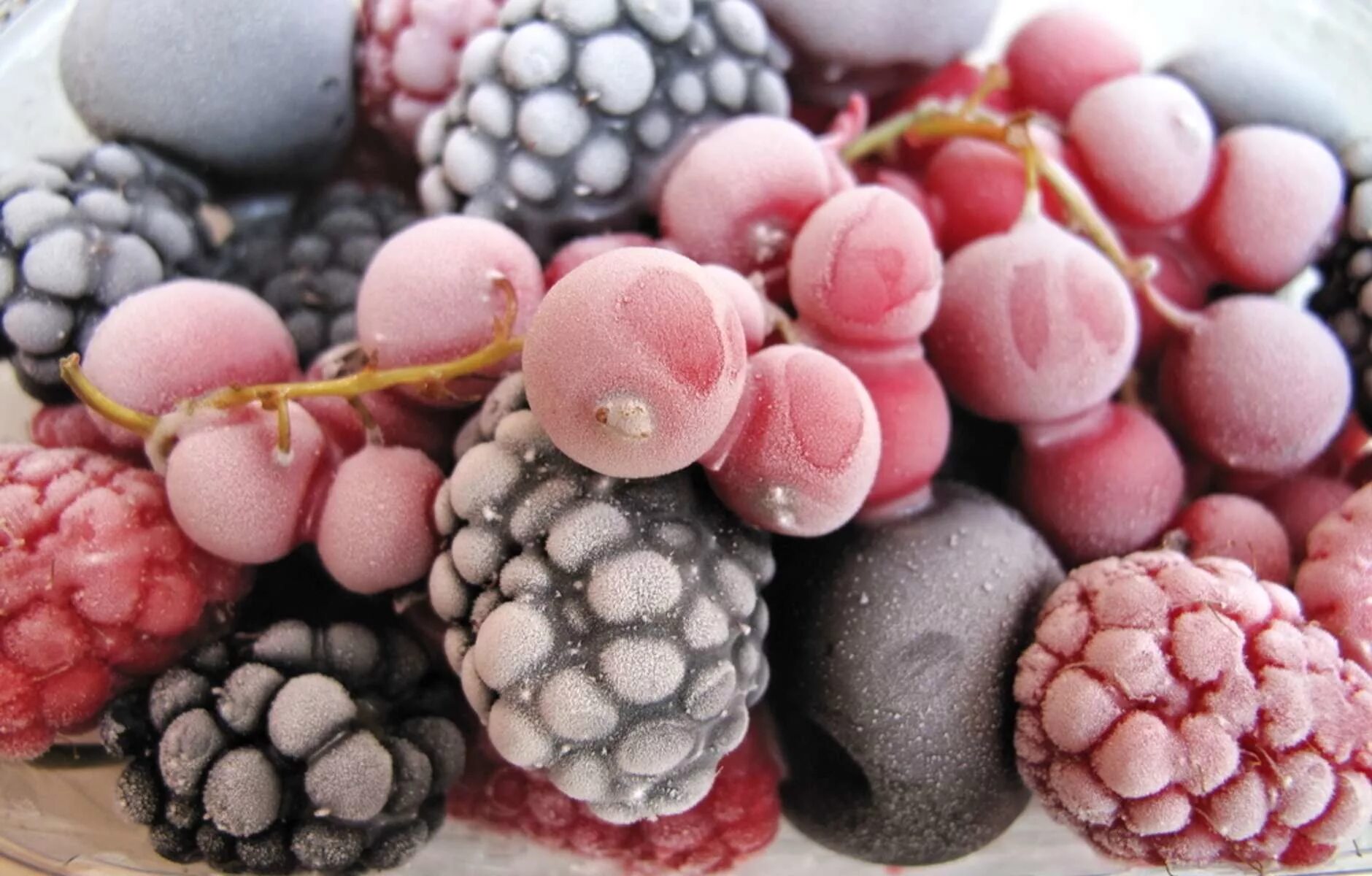 Замороженные ягоды и овощи. Сезонные ягоды. Замороженные фрукты. Перемороженные ягоды. Замораживание овощей и фруктов.