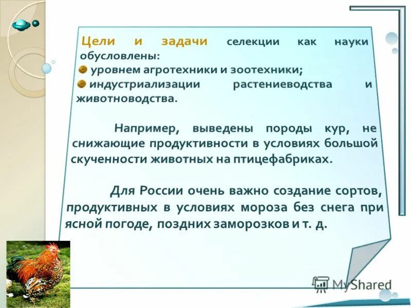 Выберите задачи селекции. Цели и задачи селекции. Задачи селекции как науки. Задачи современной селекции биология. Задачи селекции животных.