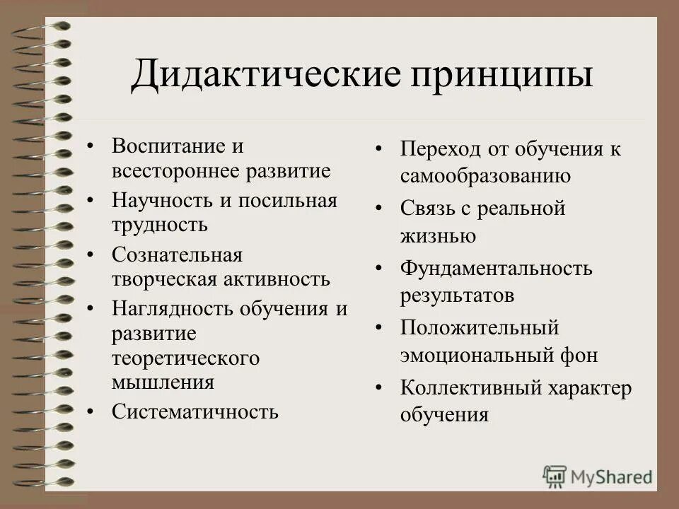 Дидактические принципы воспитания. Принципы дидактики. Дидактика и дидактические принципы. Дидактические принципы обучения.