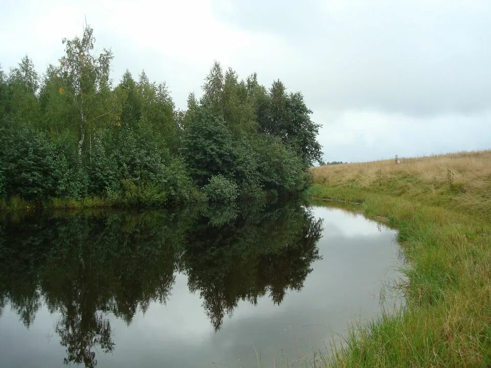 озеро нлмк лебединое озеро. озеро длинное липецкая область. озеро длинное липецкая область. озеро длинное липецкая область. озеро длинное липецкая область.