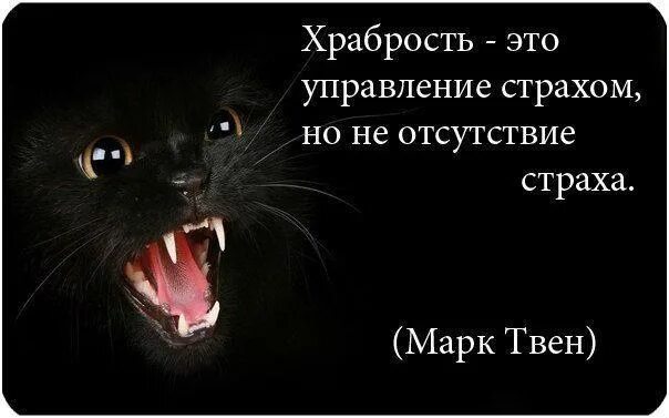 Смелые выражения