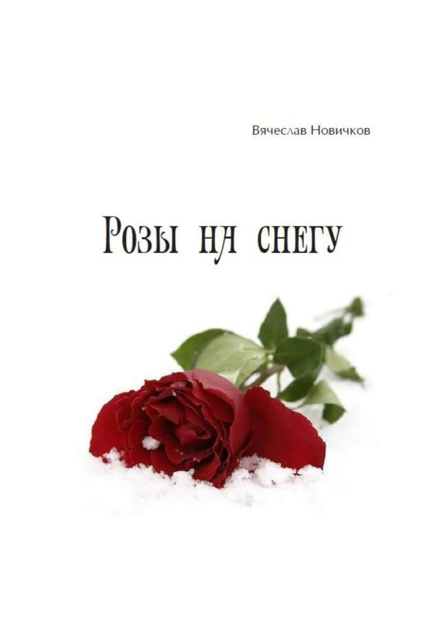 Книга про розы. Розы на снегу. Книга розы на снегу.