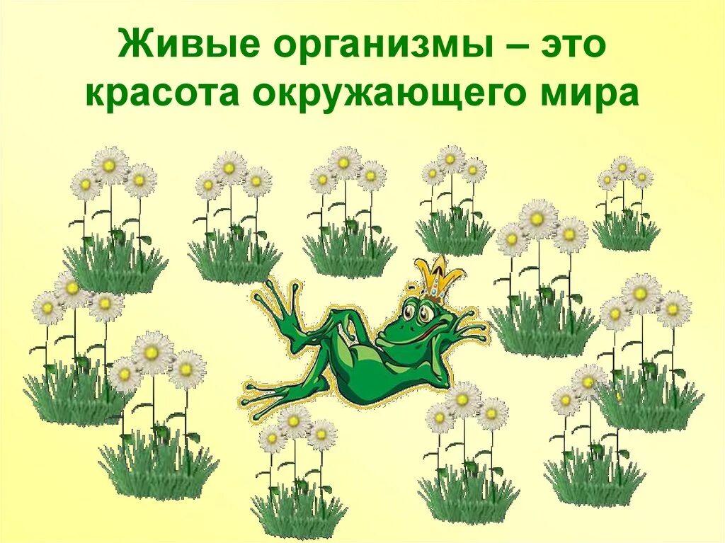 Живые организмы. Живой организм это определение. Разнообразие живой природы. Живой организм это 5 класс. Значение детской литературы 4 класс окружающий мир