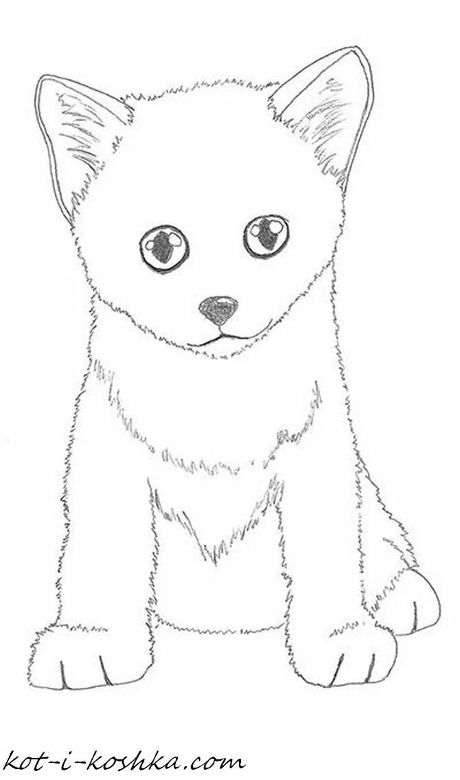 Красивые рисунки для 7 лет легко. Котёнок рисунок карандашом. лёгкий рисунок котёнка для срисовки. котик рисунок для детей легкий. рисунки для срисовки животные легко.