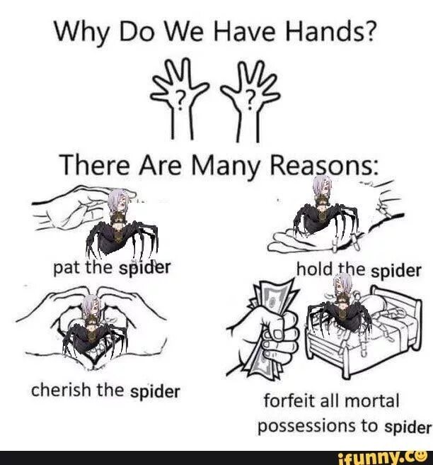 Have them to hand. Why do we have hands. Why do we have hands there are many reasons. Why do we have hands meme. Why do we have hands Template.