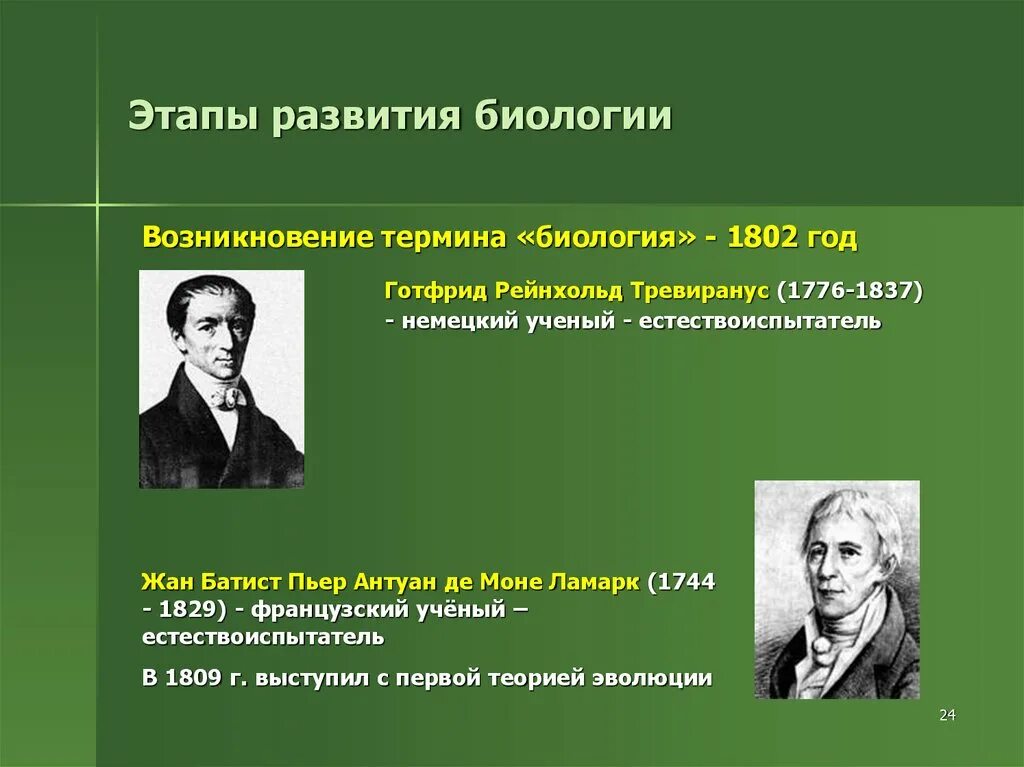 Ученые современного этапа. Готфрид Рейнхольд Тревиранус(1776-1837. Этапы развития биологии. Исторические этапы развития биологии.