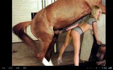 Horse intercourse.