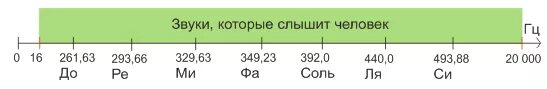 Гц слух