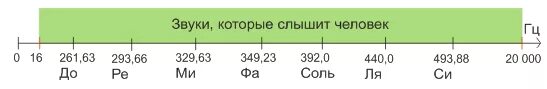 На рисунке приведены частоты воспринимаемые органами слуха. Частота звука которую слышит человек. Диапазон слышимых человеком частот звука. Шкала звуковых частот. Слышимый диапазон частот для человека.