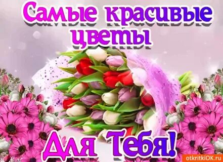 Красивого сегодня открытка