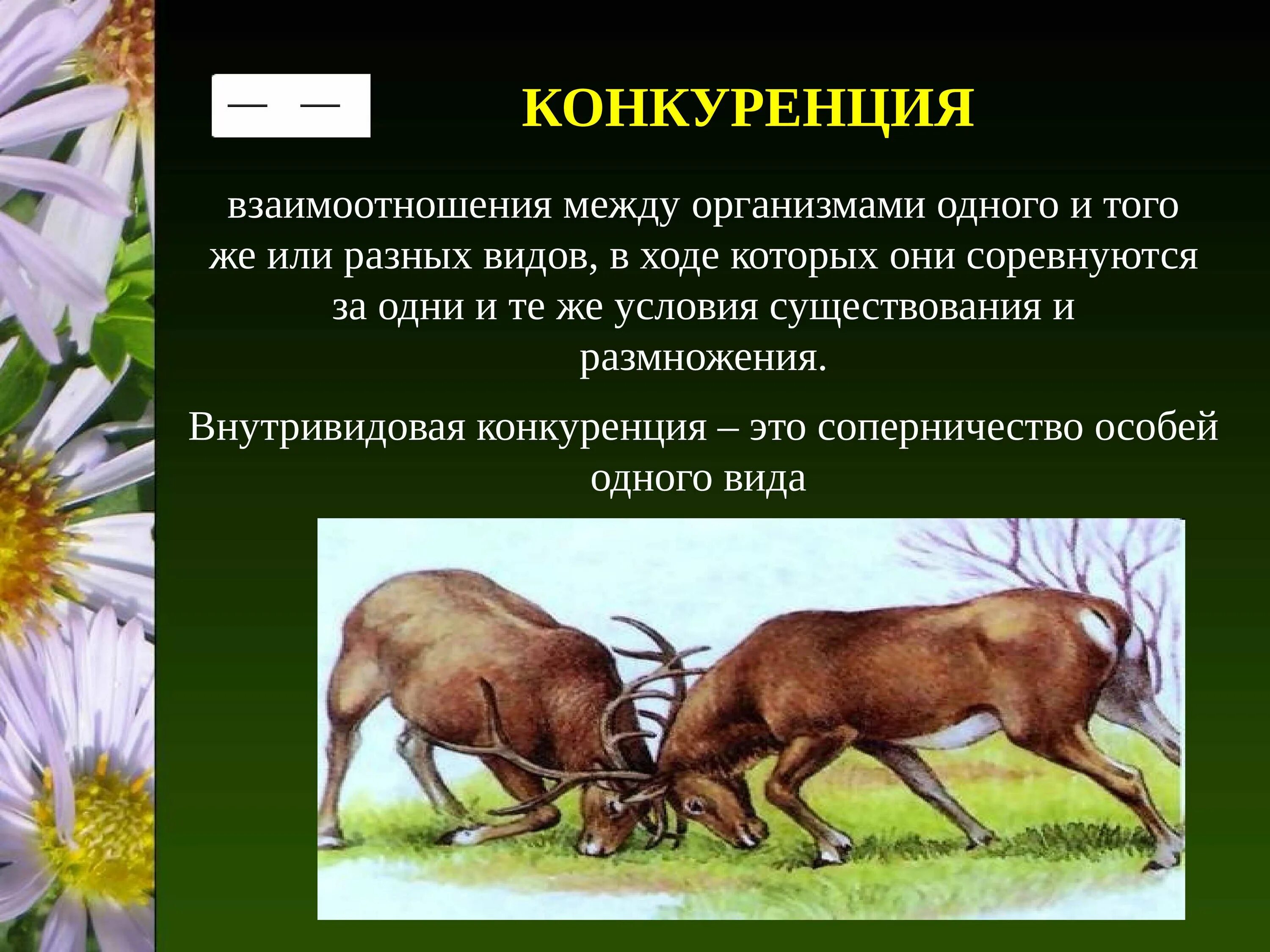 Нейтрализм симбиоз. Симбиоз мутуализм. Мутуализм квартиранство протокооперация. Нейтрализм симбиоз хищничество. Какие отношения складываются между ежовником и джейраном