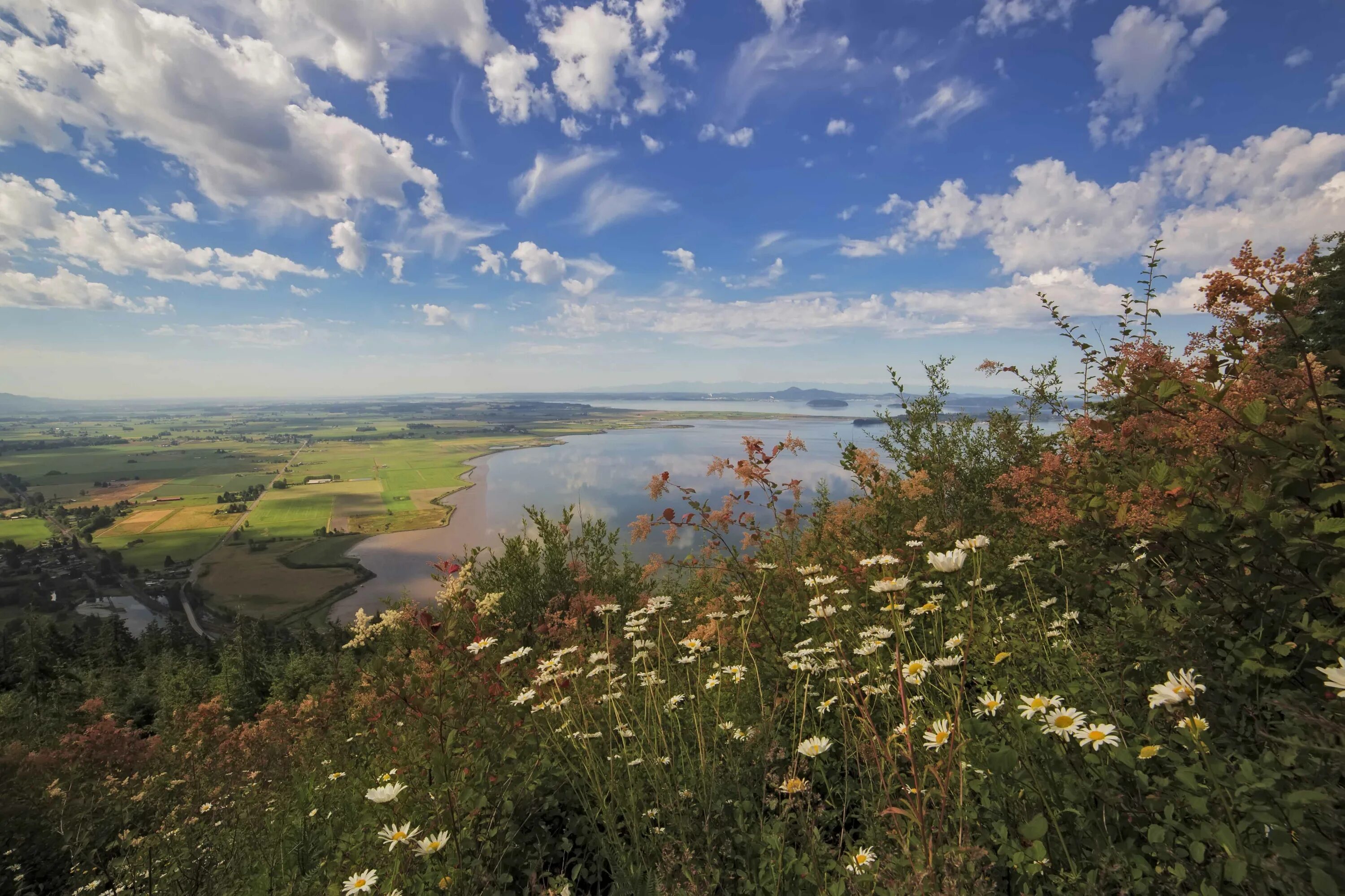 Природа плавней. Родные просторы Пушгоры панорама. Заповедный луг Рязань. Родные просторы Елецкого района. Родные просторы Татарстан.