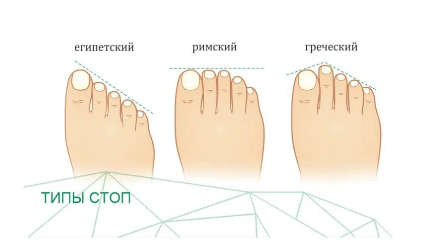 Пальцы на ногах какой больше