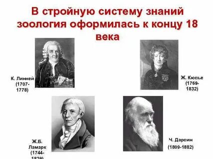 История развития зоологии