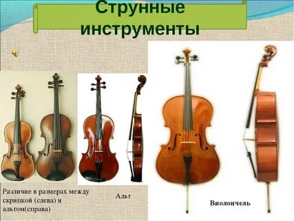 Самый низкий смычковый инструмент