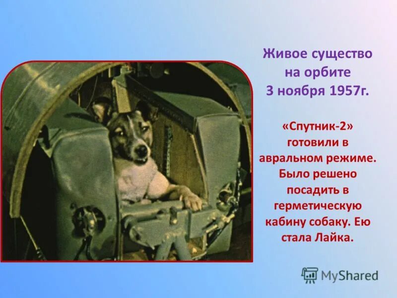 Масса первого спутника земли 83 кг. Живое существо на орбите 3 ноября 1957г.. II этап – первые живые существа на орбите. Второй искусственный Спутник земли с собакой лайкой. 1 Живое существо на орбите кратко вклад.