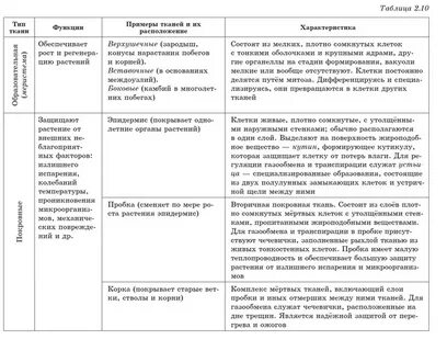 Заполните таблицу ткани организма человека