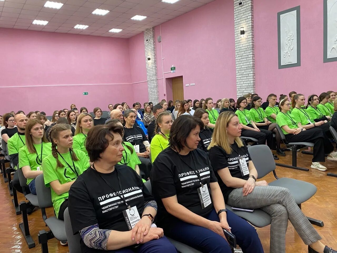 профессионалы 24