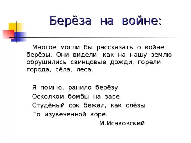 Стихотворение белая береза я помню ранила березу. Береза Васильев стих. Береза стихотворение о войне. Я помню ранило березу стих. Стих о войне береза Автор.