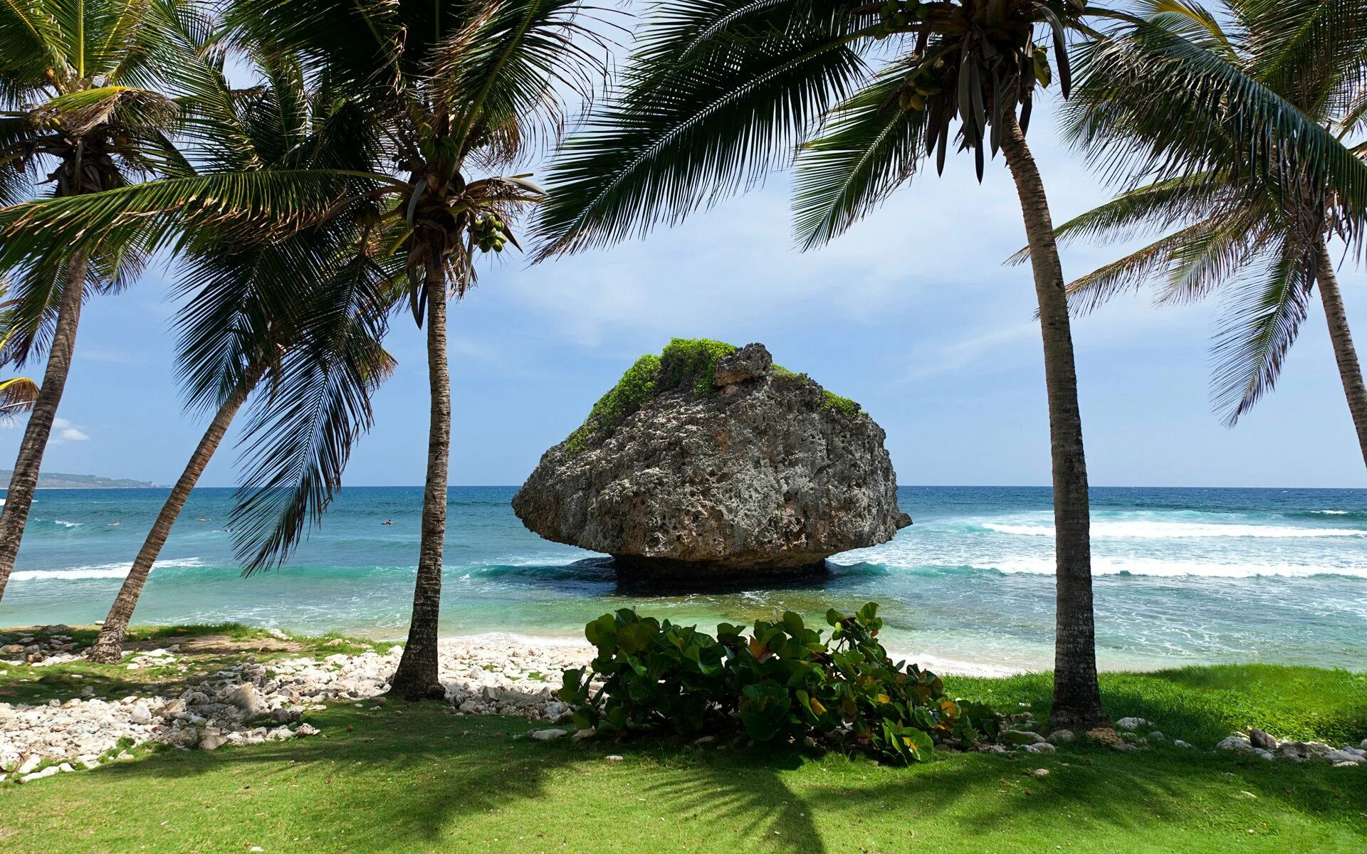 Live near the sea. Барбадос пальмы. Барбадос Сейшелы. Море пляж пальмы. Пляж с пальмами.