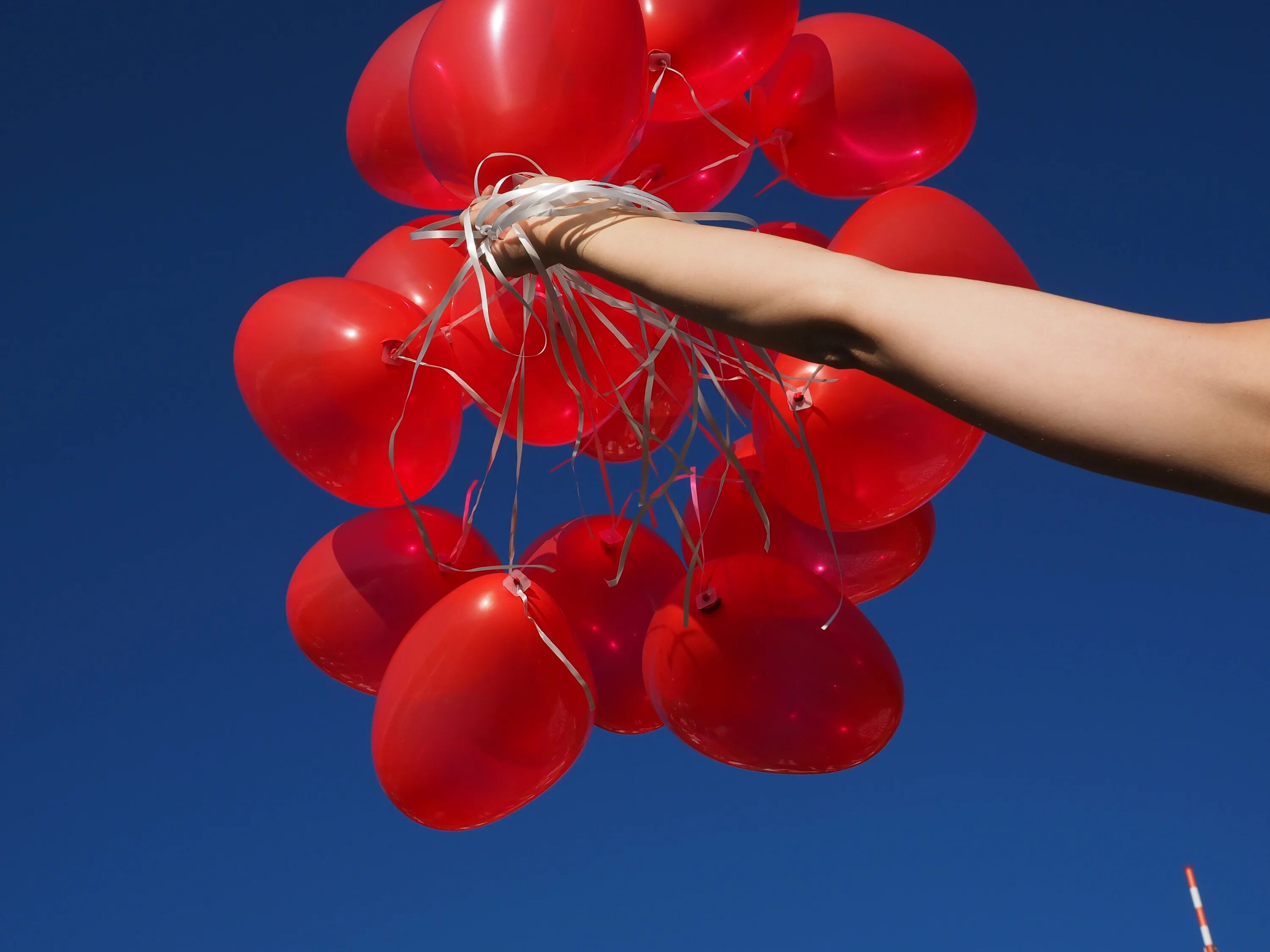 Песнь шарики воздушные. Шары в руке. Красные шары. Охапка красных шаров. Шарики красны красивые.