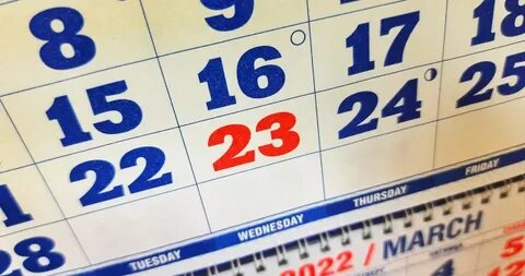 1 февраля выходной