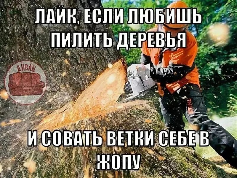 ноготочки студия. любить и пилить надпись. пилить любить электросталь. пилить любить электросталь. любить и пилить тебя вечно.