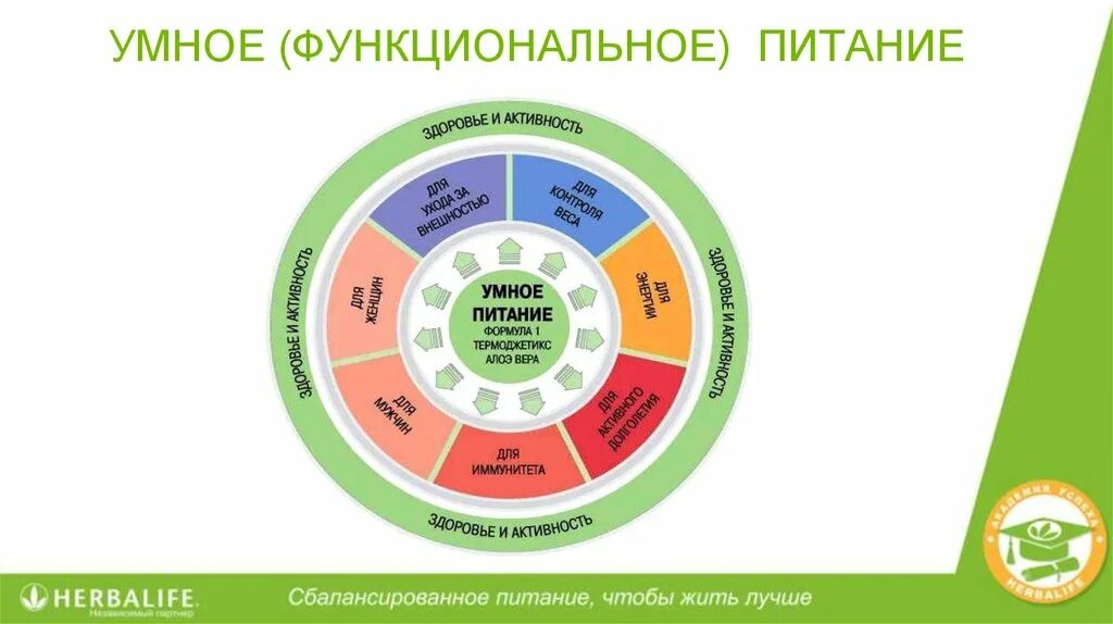 Функциональное питание Гербалайф. Функциональное и сбалансированное питание. Сбалансированное питание Гербалайф. Концепция сбалансированного питания. План по году качества 2024