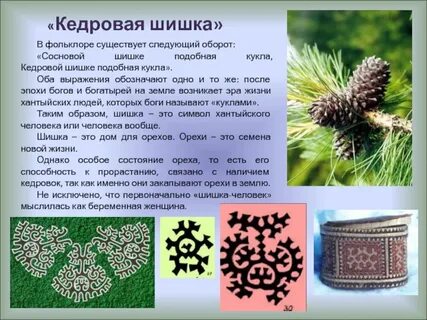 Шишка значение