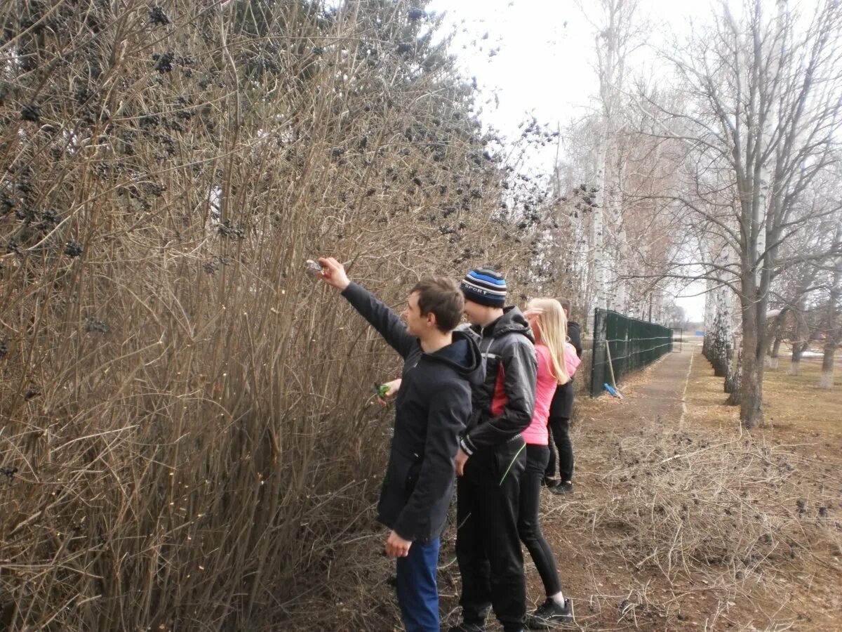 степановка (александровский район). погода в греково степановке. греково степановка школа. степановская школа галичского района. село греково тимофеевка ростовская область.