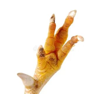 Chicken foot