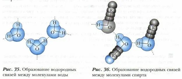 Водородная связь между молекулами воды. Схема образования водородной связи. Схема образования водородной связи между молекулами спирта и воды. Схема образования водородной связи между молекулами спирта. Между молекулами спиртов образуются связи