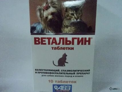 Какие обезболивающие можно котенку