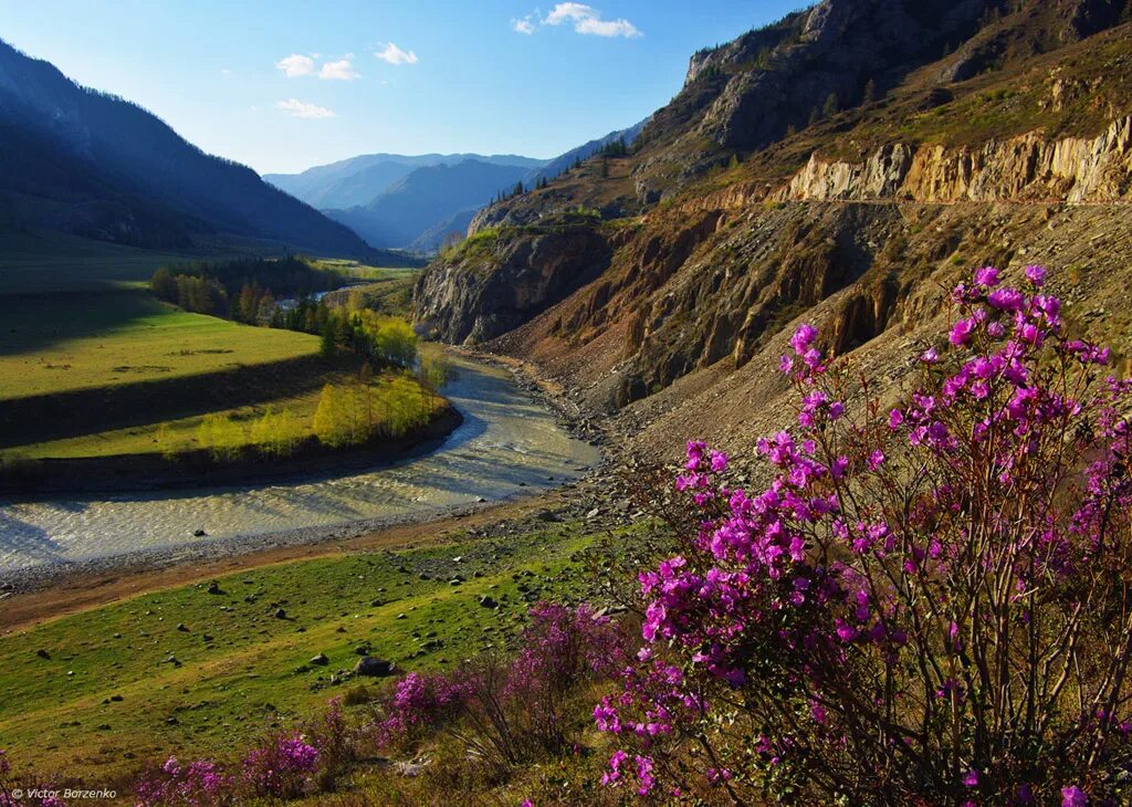 чуйский тракт маральник. алтай турочак. майский горно-алтайской области. гейзеровое озеро горный алтай. алтай в середине мая фото.