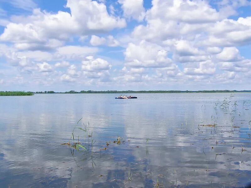озеро хорошая. карасук озеро хорошее. миннесота природа. рыбалка на гимольском озере в карелии. озеро хорошее новосибирская область карасукский район.