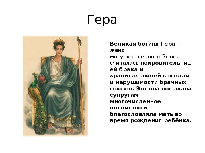 Сколько лет геры. Сколько лет геры