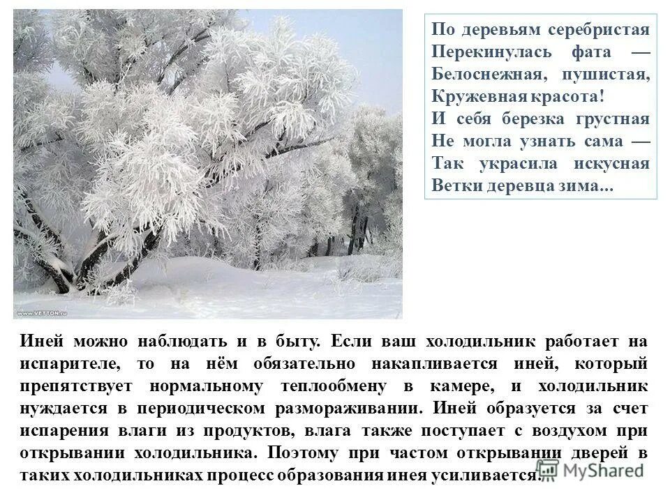 грабарь иней картина. жуковский иней картина. сочинение на тему иней 5 класс по русскому языку. сочинение по картине жуковского иней. жуковский иней картина.