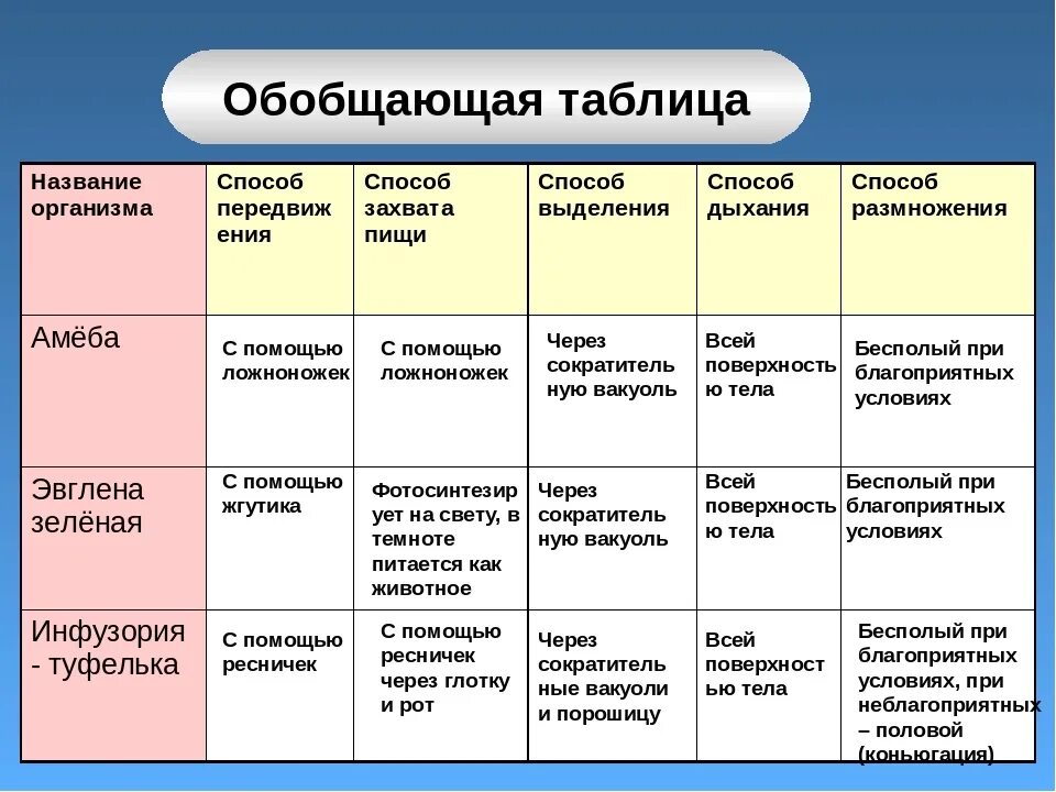 Сходства и различие простейших. Строение простейших 7 класс биология таблица. Характеристика простейших 7 класс биология таблица. Таблица по биологии 7 класс Подцарство одноклеточных. Сравнительная характеристика одноклеточных животных таблица.