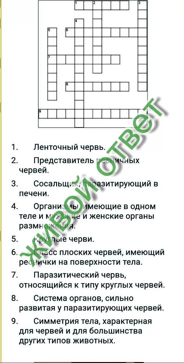 Червь сканворд. Плоские черви 7 класс биология кроссворд. Кроссворд по биологии. Кроссворд на тему многообразие плоских червей. Кроссворд на тему черви.