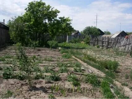 Село золотое саратовская область дома
