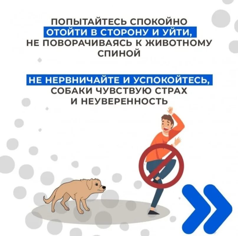 Что делать при нападении. Памятка при нападении бродячих собак. памятки от бездомных собак. памятка при встрече с бродячими собаками. как защититься от собак памятка.