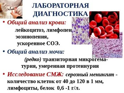 Инфекция оак