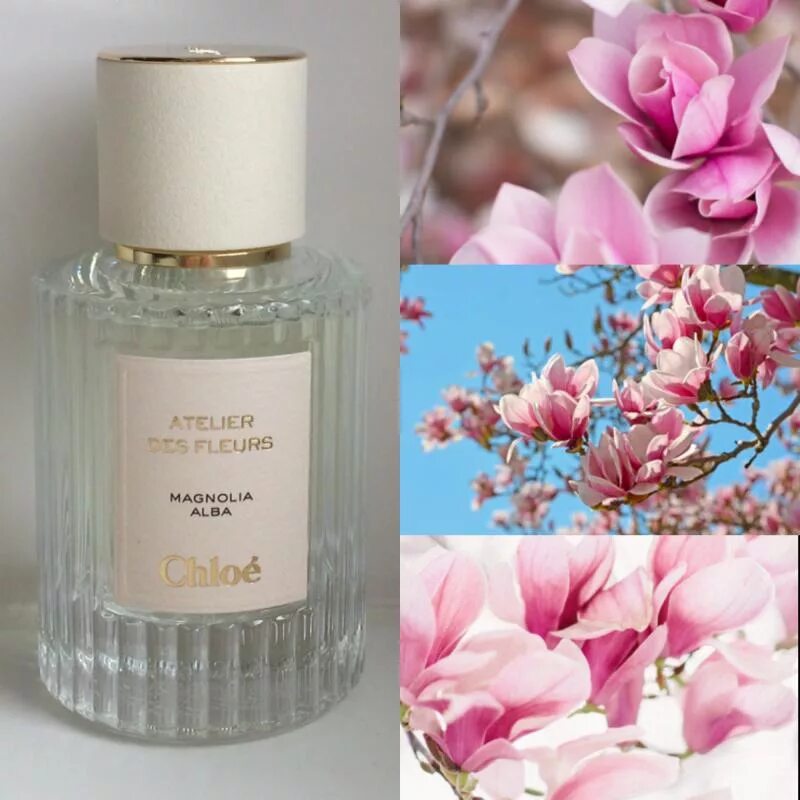 Atelier de fleur. Atelier de fleur. Atelier de fleur. Atelier de fleur. Chloe violette.